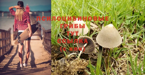 гашишное масло Алексеевка