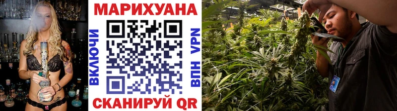 Канабис THC 21%  Черноголовка 